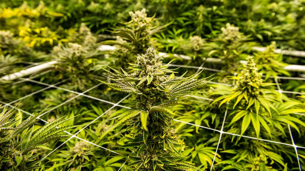 GettyImages-1081197936_header-1024x575-1